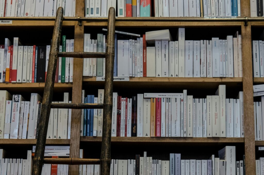 Bookshelves in a library with a wooden ladder